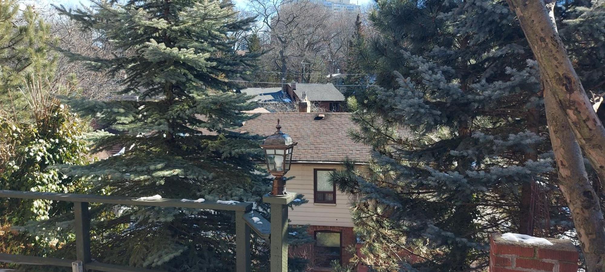 High Park Single Room With Personal Washroom And Kitchen Toronto Esterno foto