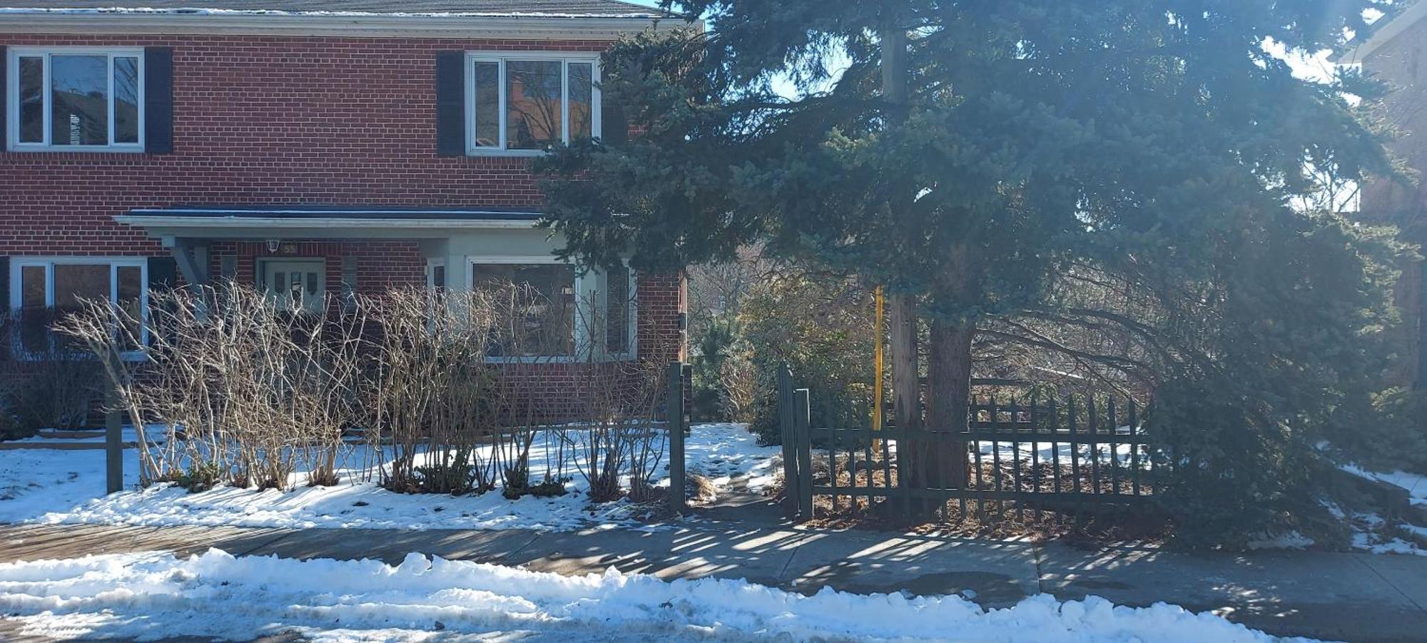 High Park Single Room With Personal Washroom And Kitchen Toronto Esterno foto
