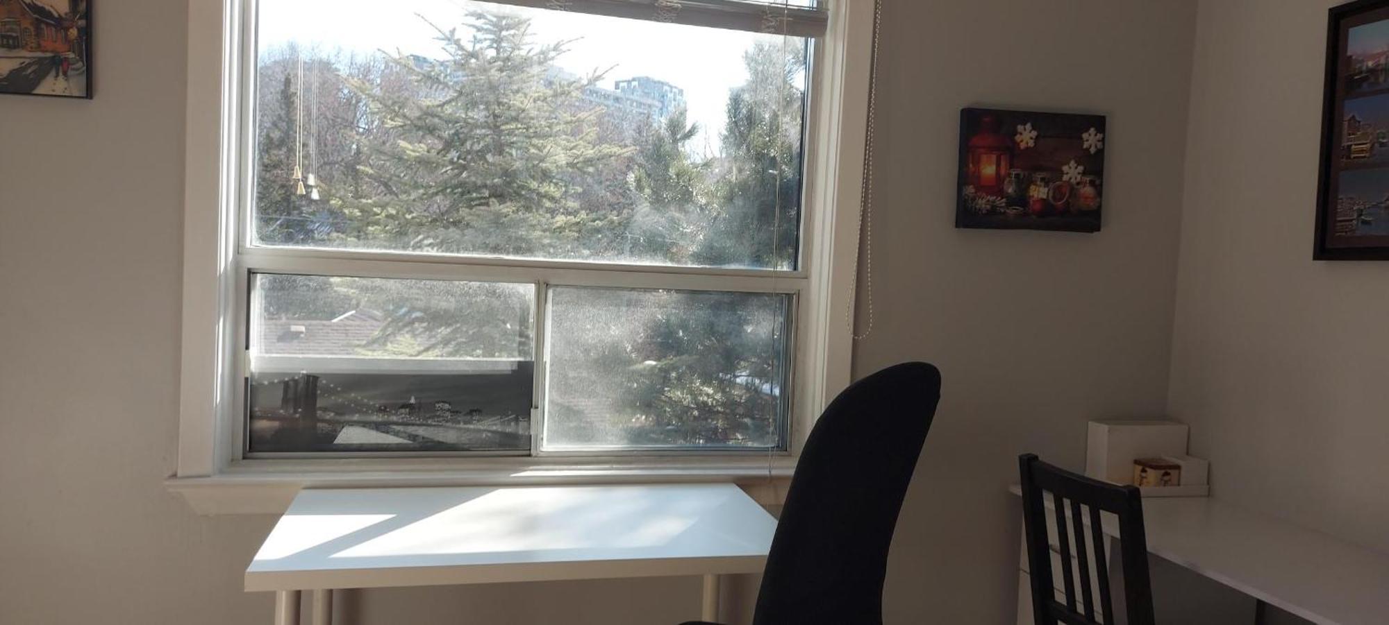High Park Single Room With Personal Washroom And Kitchen Toronto Esterno foto